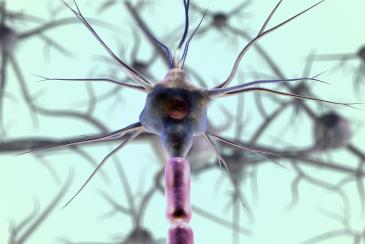 Groundbreaking study unveils new insights into neurodegenerative disorder symptoms